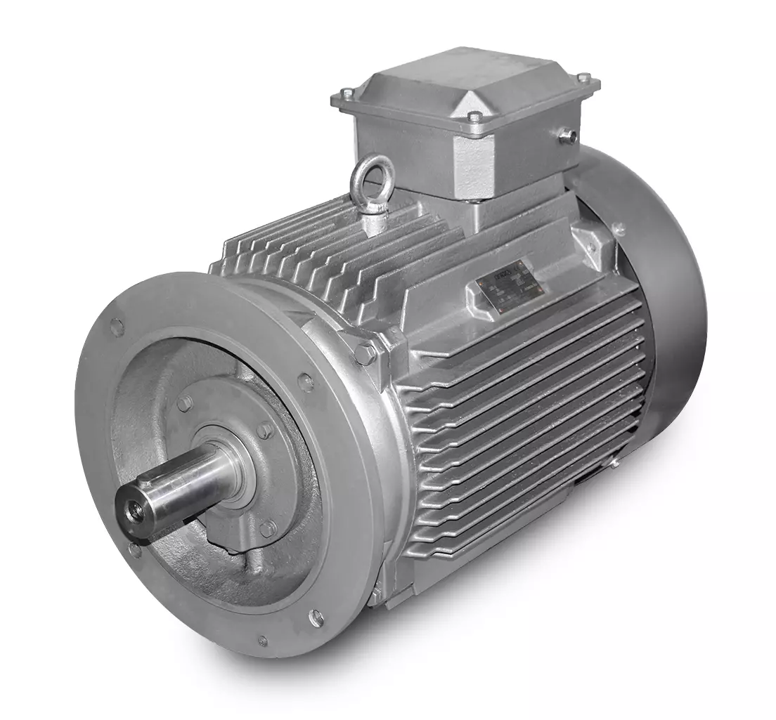 Elmotor-M3 200L-30 kW-4pol-B5/V3